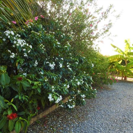 Sheba Cottages - Playa de Diani Exterior foto