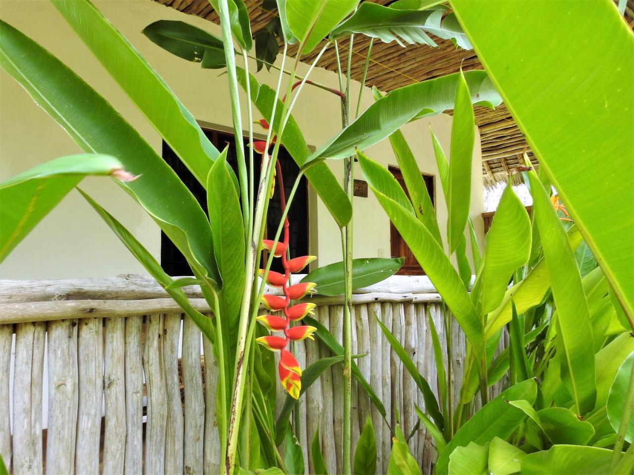Sheba Cottages - Playa de Diani Exterior foto